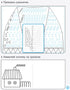 Copybook with tracing paper. Grade 1. Part 1